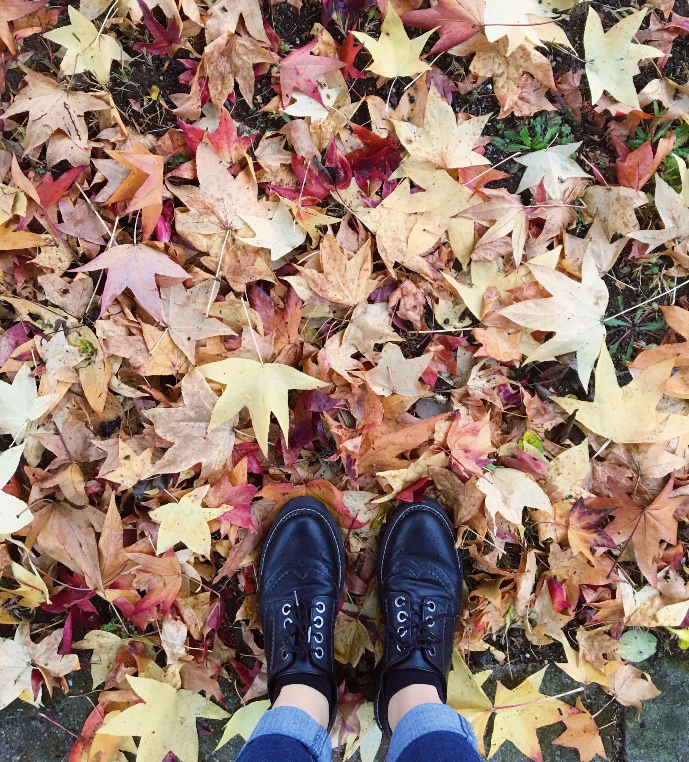 Lifestyle | Reset D’Autunno