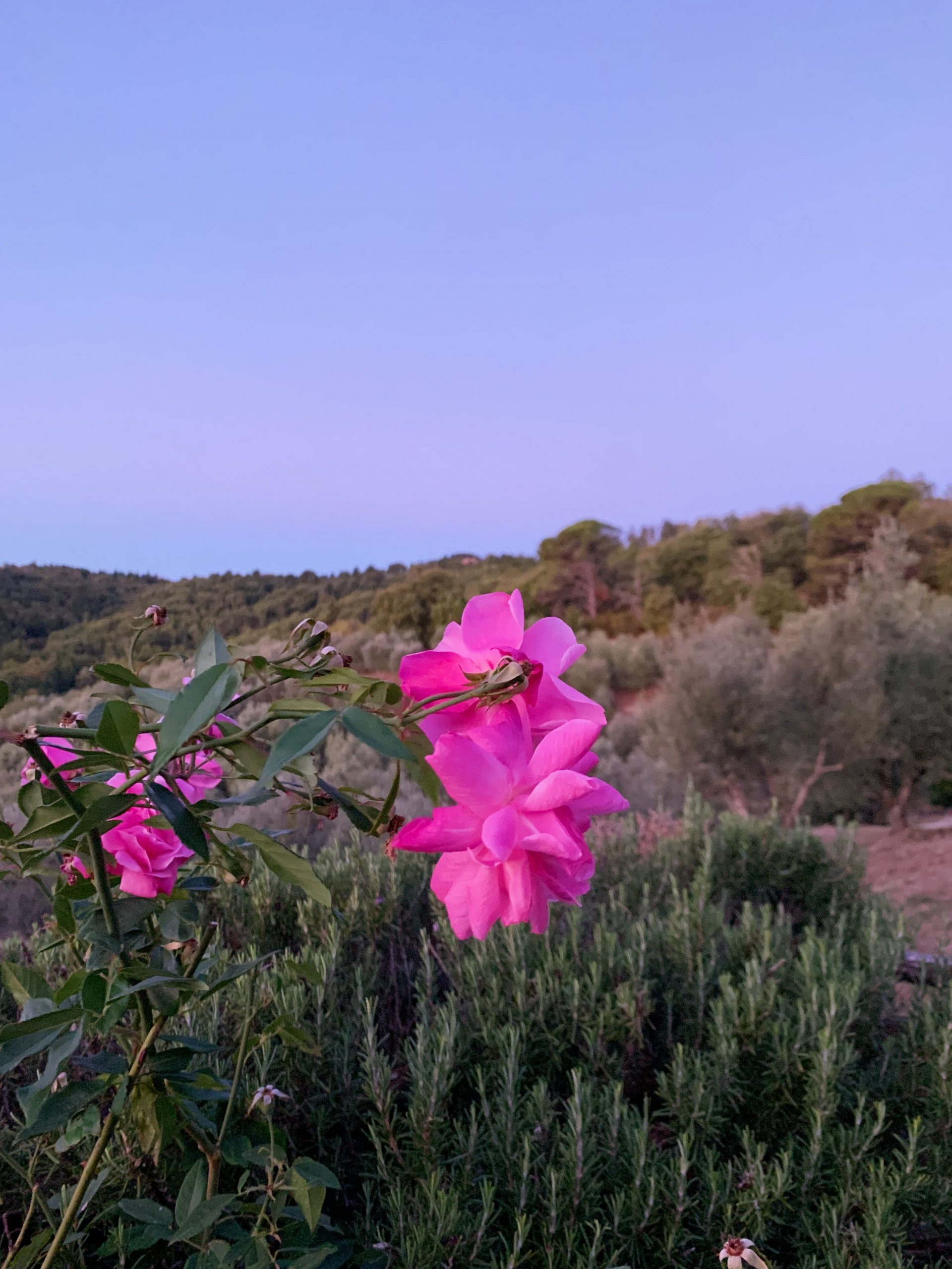 Pensieri | Sul silenzio